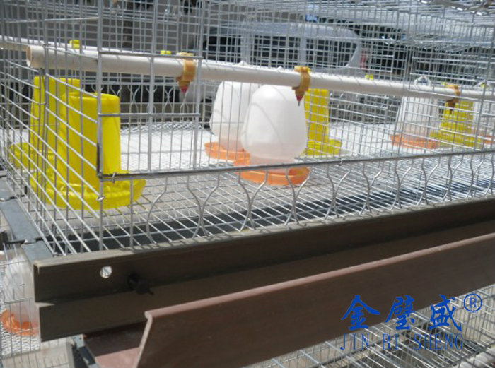 ���r���ɻ\1