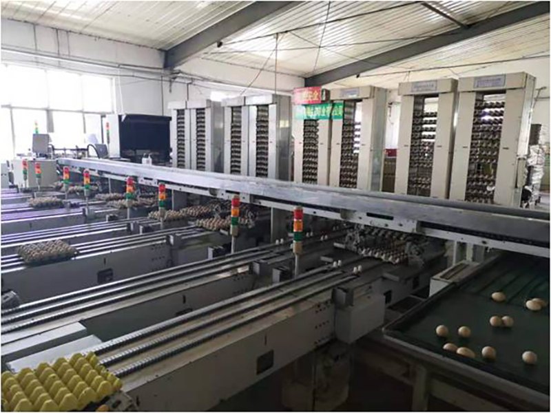 ȫ�Ԅ�(d��ng)��Ʒ���b�O(sh��)��