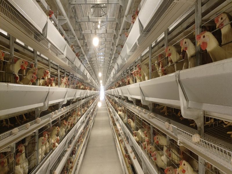 5��8�ӆΗ�ʮ�f(w��n)���u